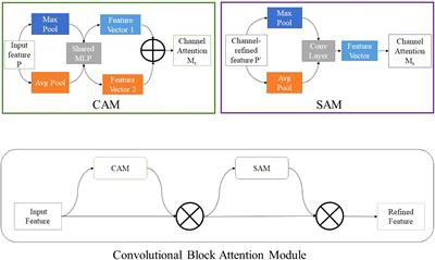 A lightweight method for maize seed defects identification based on Convolutional Block Attention Module